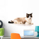 Ragdoll Cat Wall Decal