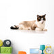 Ragdoll Cat Wall Decal
