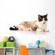 Ragdoll Cat Wall Decal