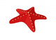 Starfish Wall Decal