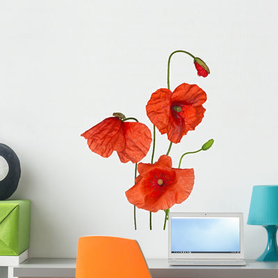 Bunch Wild Red Poppy Wall Decal shown on a wall
