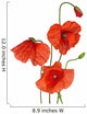 bunch of wild red poppy flowers on white Wall Decal