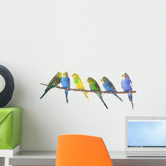 Budgie Wall Decal
