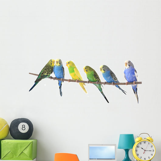 Budgie Wall Decal
