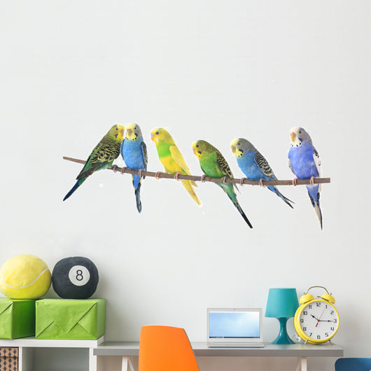 Budgie Wall Decal