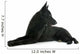 Black German Shepherd 