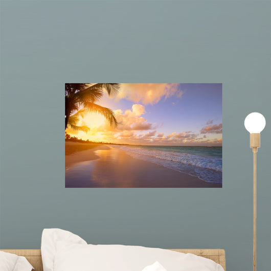 Art Beautiful sunrise over the tropical beach 