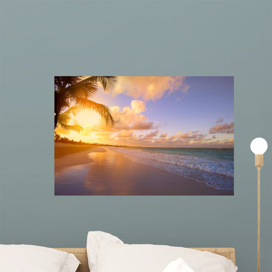 Art Beautiful sunrise over the tropical beach 