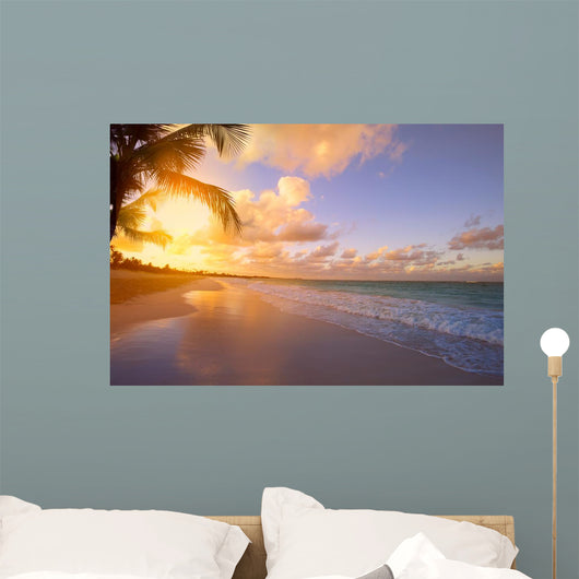 Art Beautiful sunrise over the tropical beach 