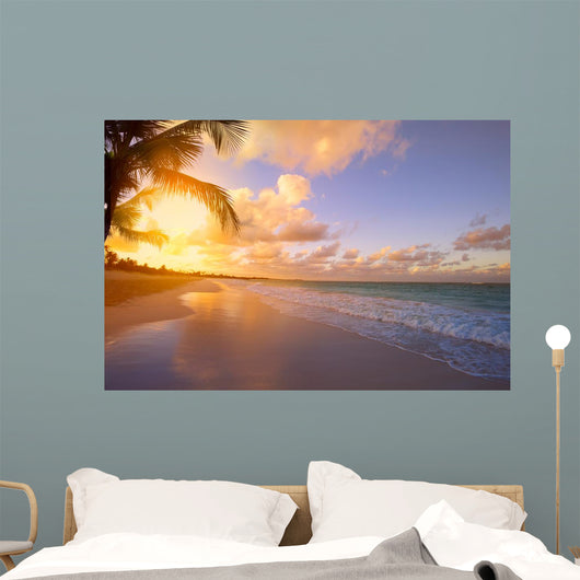 Art Beautiful sunrise over the tropical beach 