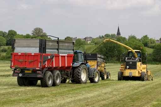 Ensilage Wall Decal