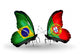 Two Butterflies with Flags Brazil and Portugal Wall Decal