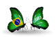 Two Butterflies with Flags Brazil and Saudi Arabia Wall Decal