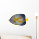 Northern Angelfish Wall Decal