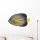 Northern Angelfish Wall Decal