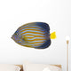 Northern Angelfish Wall Decal