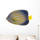 Northern Angelfish Wall Decal