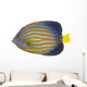 Northern Angelfish Wall Decal