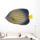 Northern Angelfish Wall Decal