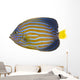Northern Angelfish Wall Decal