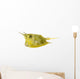 Longhorn Cowfish, Lactoria Cornuta, Isolated on White Wall Decal