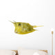 Longhorn Cowfish, Lactoria Cornuta, Isolated on White Wall Decal