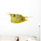 Longhorn Cowfish, Lactoria Cornuta, Isolated on White Wall Decal