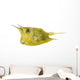 Longhorn Cowfish, Lactoria Cornuta, Isolated on White Wall Decal