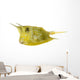 Longhorn Cowfish, Lactoria Cornuta, Isolated on White Wall Decal
