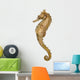 Side view of a Common Seahorse, Hippocampus kuda 