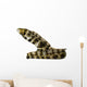 Snowflake Moray Eel Wall Decal