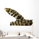 Snowflake Moray Eel Wall Decal