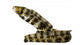 Snowflake Moray Eel Wall Decal