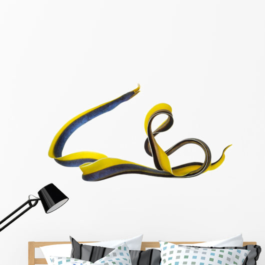 Ribbon Eel Wall Decal