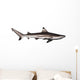 Blacktip reef shark Wall Decal