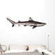 Blacktip reef shark Wall Decal