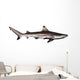 Blacktip reef shark Wall Decal