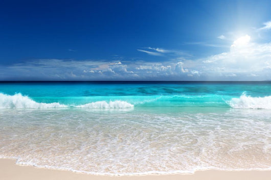 seychelles beach 