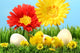 Easter chicks in the grass with flowers against a blue sky Wall Mural