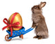Funny Easter Rabbit with a Blue Wheelbarrow and Golden Egg Wall Decal
