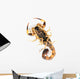 Brown Scorpion Wall Decal