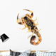Brown Scorpion Wall Decal