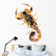 Brown Scorpion Wall Decal