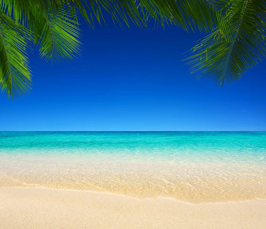 tropical sea 