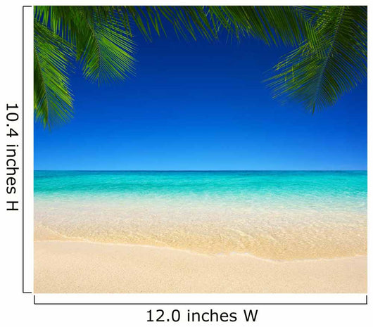 tropical sea 