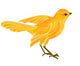 Gold Bird 