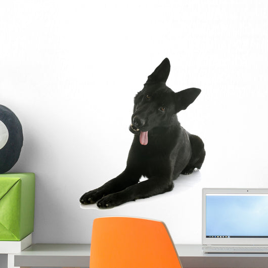 Black German Shepherd Wall Decal