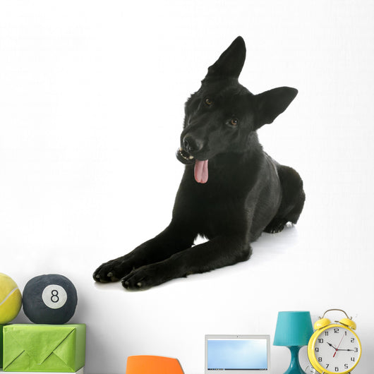 Black German Shepherd Wall Decal