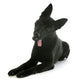 Black German Shepherd Wall Decal