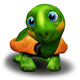Green Turtle Baby 3D Wall Decal